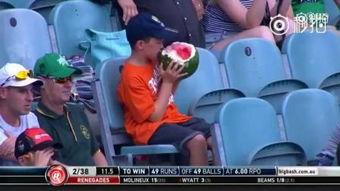 吃瓜比赛bgm,跟随吃瓜比赛bgm，感受舌尖上的狂欢