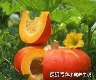 广西长寿村吃的瓜,瓜果飘香的长寿之谜