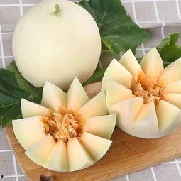 珠儿吃瓜,揭秘娱乐圈的甜蜜与苦涩