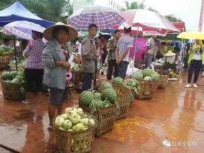 吃瓜自贡,探寻吃瓜者的自贡风味盛宴