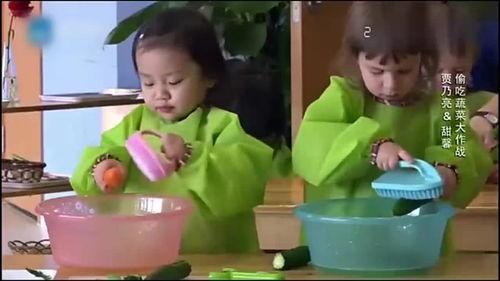 meet老师吃瓜,Meet老师与吃瓜群众的欢乐时光