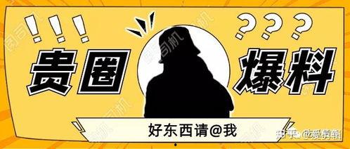 成都模特圈 吃瓜,揭秘幕后“吃瓜”风云