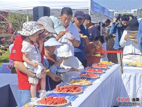 科技城吃瓜,揭秘吃瓜背后的科技力量